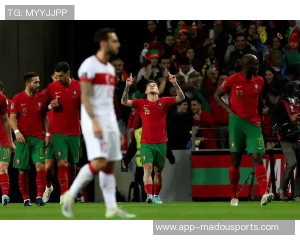 居莱尔展望未来努力助力土耳其重返世界杯舞台 居莱尔展望未来努力助力土耳其重返世界杯舞台