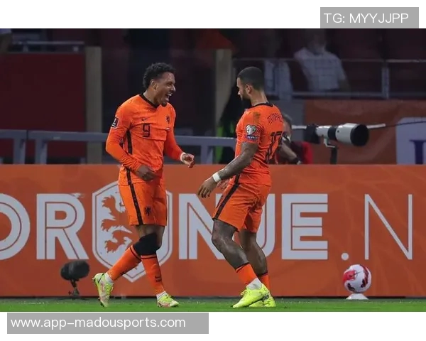 居莱尔展望未来努力助力土耳其重返世界杯舞台