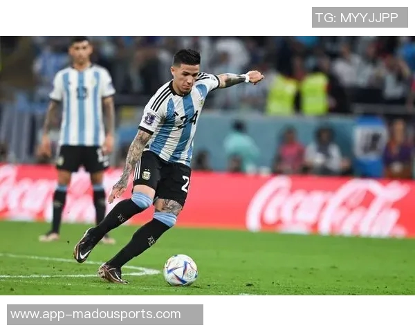 顶级组合恩佐与凯塞多并肩作战成队内射手王全勤出战七场展现实力 顶级组合恩佐与凯塞多并肩作战成队内射手王全勤出战七场展现实力