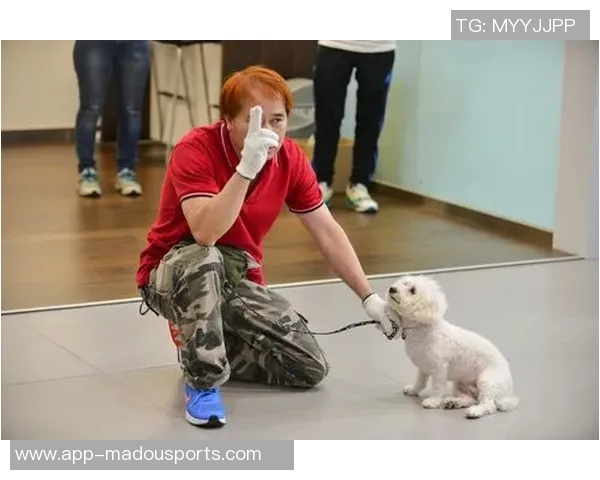 悬赏金激增至两万美元拉姆塞全力寻回心爱爱犬 悬赏金激增至两万美元拉姆塞全力寻回心爱爱犬